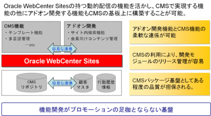 効率的に顧客志向のWebサイト構築を支援する基盤の実現