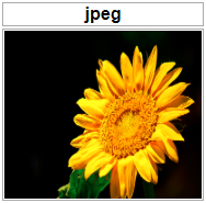 JPEG