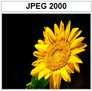 JPEG 2000